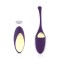 Oeuf Vibrant Télécommandé Pulsy Playball Violet